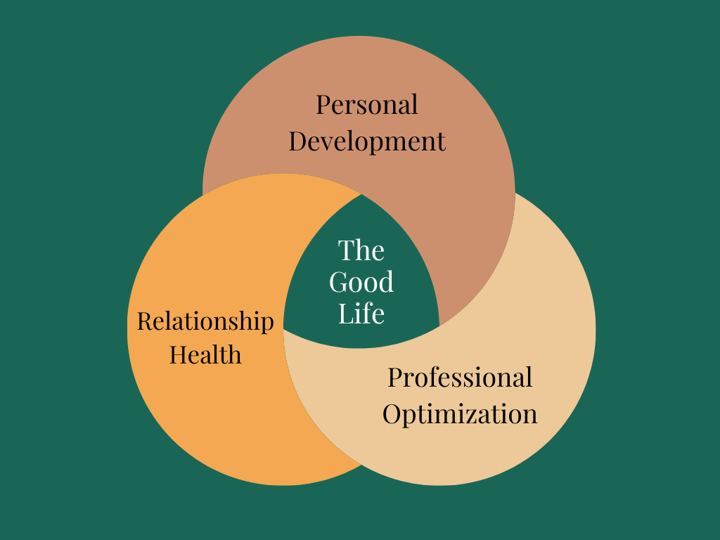 A venn diagram with three circles and the words personal development, professional optimization, and relationship health.